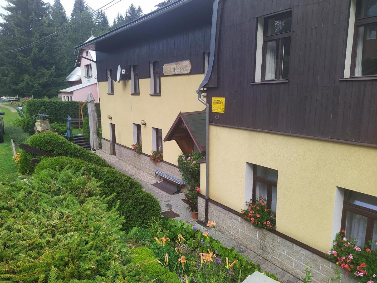 Penzion Borovice Josefův Důl Exteriér fotografie