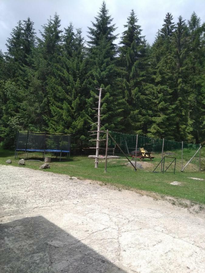 Penzion Borovice Josefův Důl Exteriér fotografie